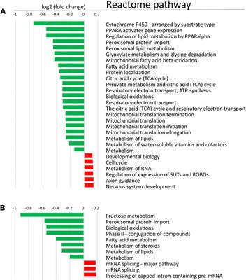 Effects of Diminished NADPH:cytochrome P450 Reductase in Human Hepatocytes on Lipid and Bile Acid Homeostasis